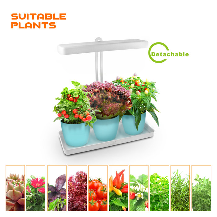 GrowLED Grow Light Herbs & Reviews Wayfair
